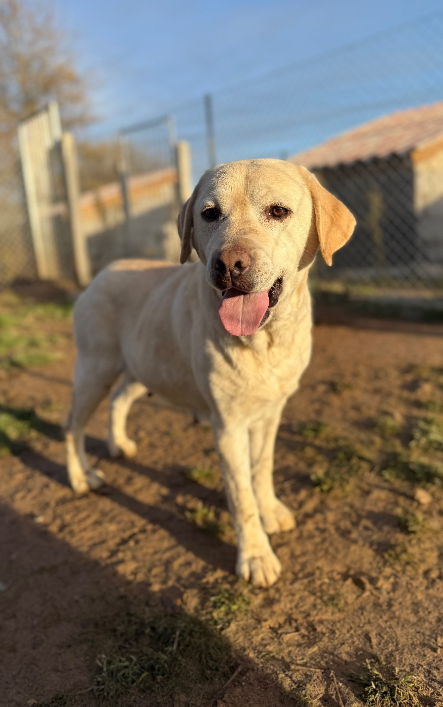 Oasis du domaine de luard